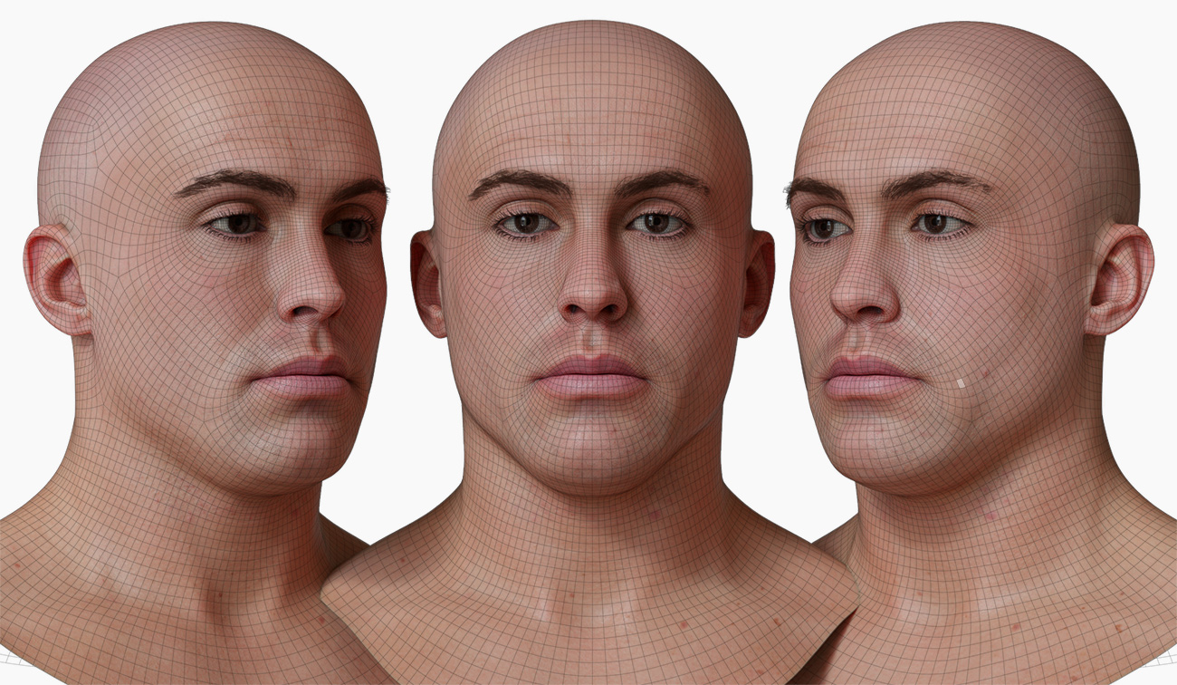 head model wireframe mesh